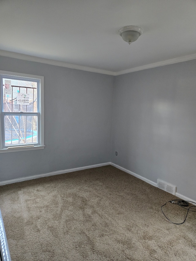 spare room with crown molding, carpet, and baseboards