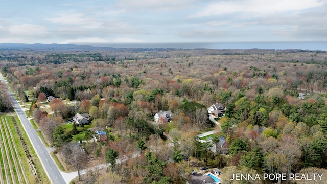 16840 Cricket Ct, Grand Haven, MI 49417 - aerial view of property and surrounding area featuring a heavily wooded area