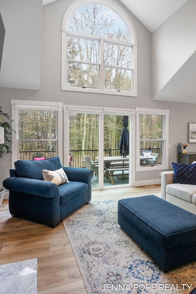 16840 Cricket Ct, Grand Haven, MI 49417 - living area with wood finished floors and high vaulted ceiling