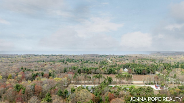 16840 Cricket Ct, Grand Haven, MI 49417 - aerial view of property's location featuring a forest
