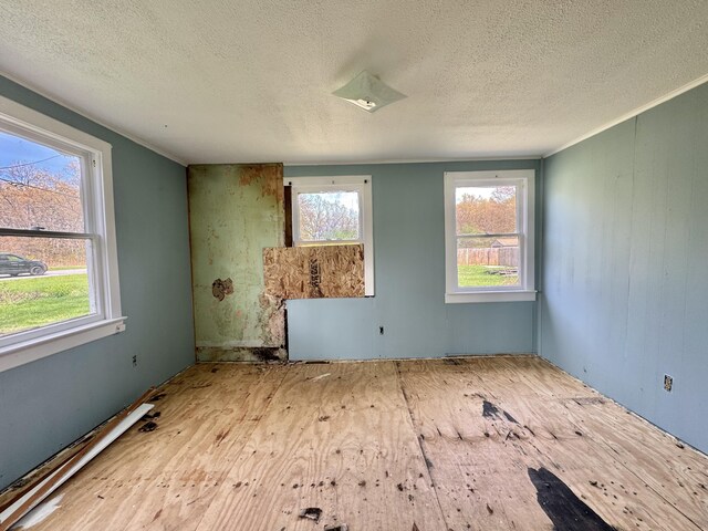 empty room featuring a textured ceiling, healthy amount of natural light, and wood finished floors