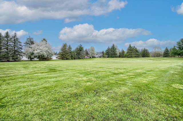 view of grassy yard