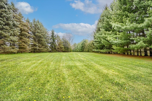 view of grassy yard