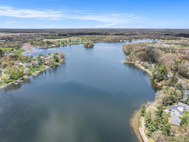 7379 Wimpole Dr NE, Belding, MI 48809 - aerial view of a large body of water