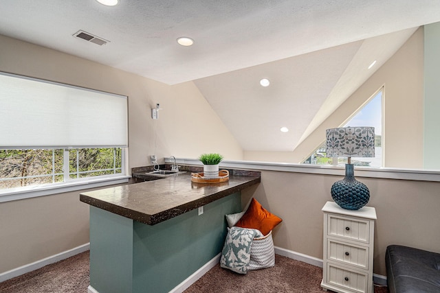 7379 Wimpole Dr NE, Belding, MI 48809 - home office featuring a sink, carpet, recessed lighting, and baseboards