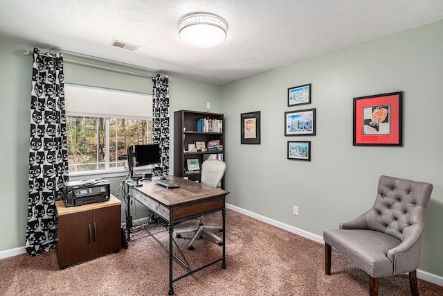 7379 Wimpole Dr NE, Belding, MI 48809 - carpeted office featuring baseboards and a textured ceiling