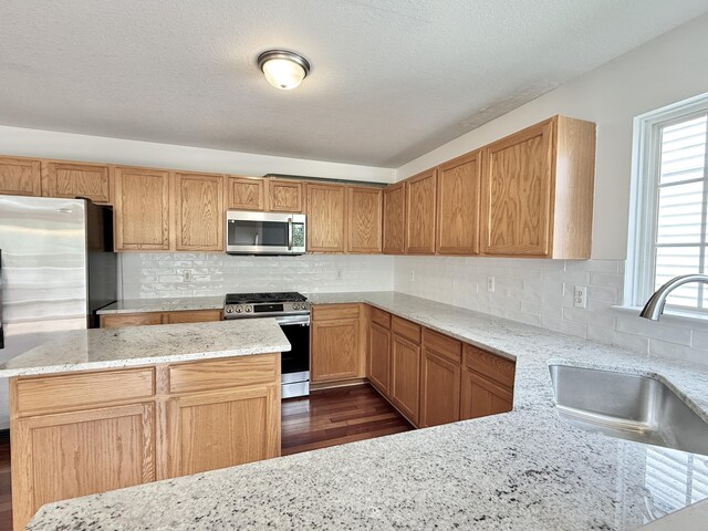 kitchen featuring appliances with stainless steel finishes, a sink, healthy amount of natural light, and dark wood finished floors