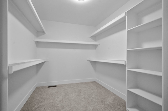 53302 Zachary Dr, Chesterfield, MI 48047 - walk in closet with carpet