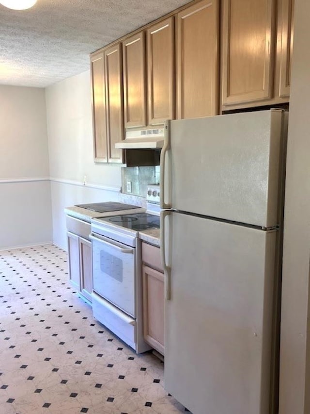 9455 N Parkwood Dr, Davison, MI 48423 - kitchen with white appliances, under cabinet range hood, light flooring, a textured ceiling, and baseboards