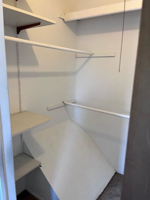 9455 N Parkwood Dr, Davison, MI 48423 - view of walk in closet