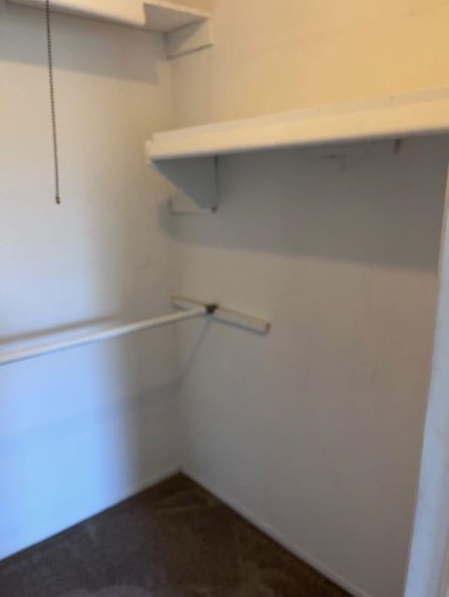 9455 N Parkwood Dr, Davison, MI 48423 - spacious closet with dark colored carpet