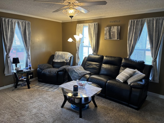 410 S Union St, Hart, MI 49420 - living area with a textured ceiling, ornamental molding, ceiling fan, carpet, and baseboards