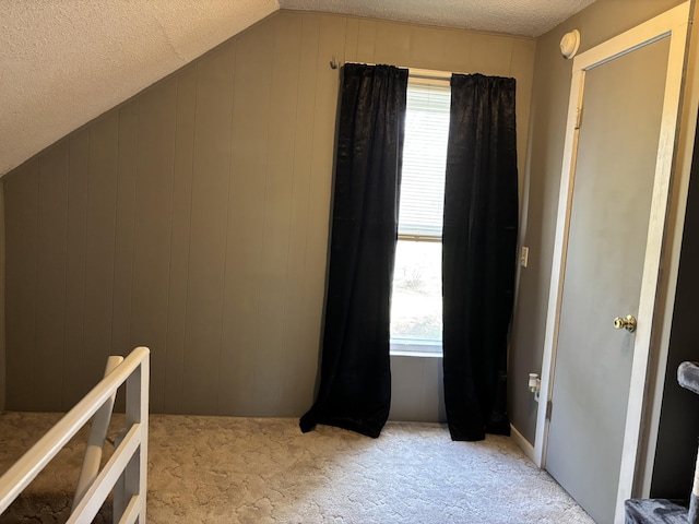 410 S Union St, Hart, MI 49420 - additional living space with light carpet and a textured ceiling
