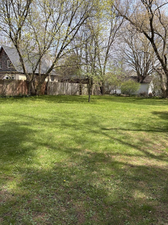 410 S Union St, Hart, MI 49420 - view of yard