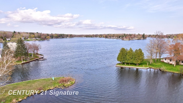 730 S Point Rd, Gladwin, MI 48624 - water view
