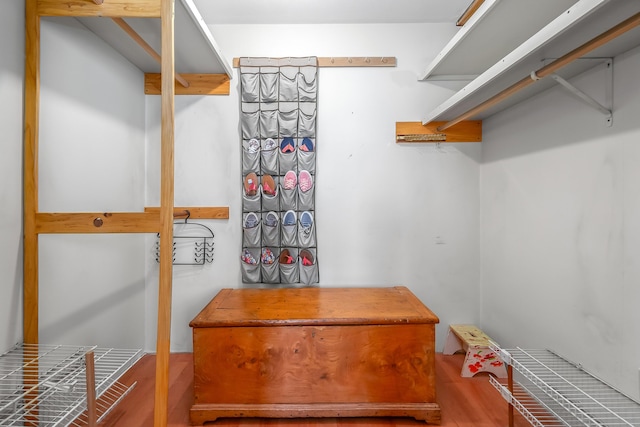 walk in closet featuring wood finished floors