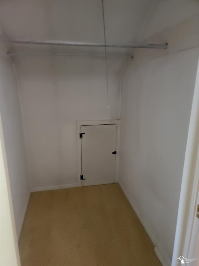 laundry area with light carpet