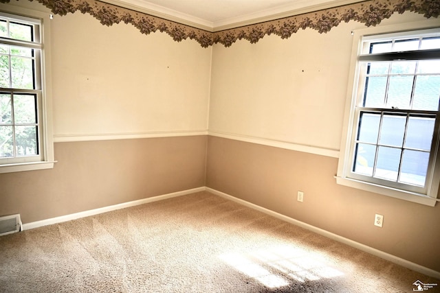 330 Devonshire St, Dearborn, MI 48124 - unfurnished room with carpet flooring and crown molding