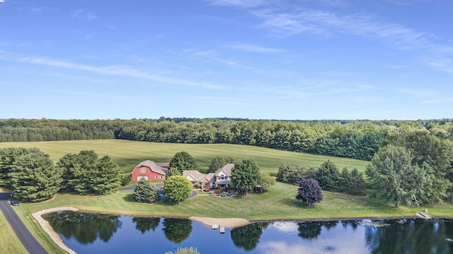 9695 36th St S, Scotts, MI 49088 - view of subject property featuring a large body of water