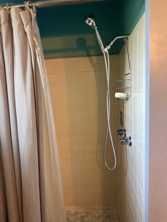 bathroom featuring a shower stall