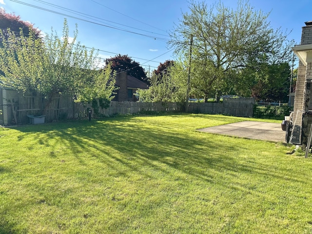 view of yard featuring a patio