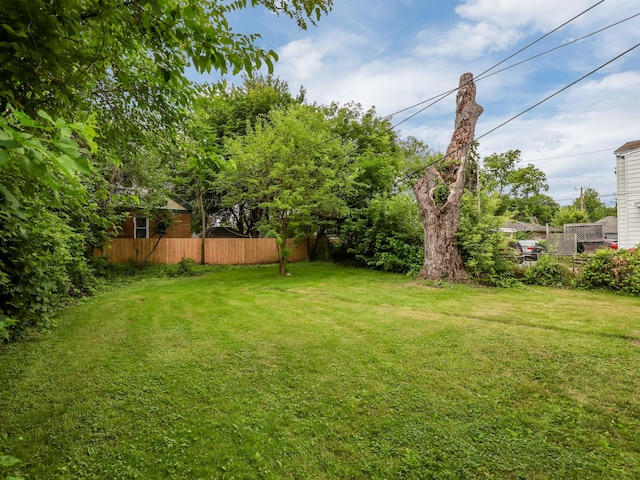view of yard