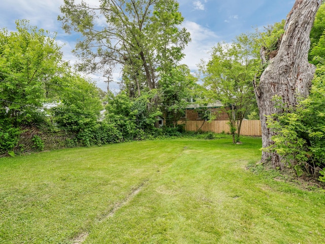 view of yard