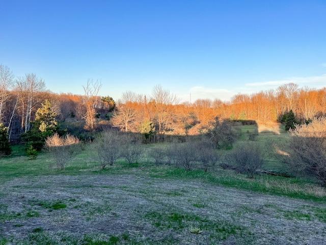 9865 Paradise Hills Dr, Central Lake, MI 49622