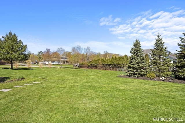 view of grassy yard