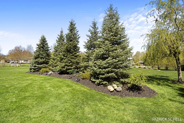 view of green lawn