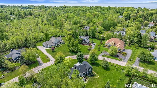 728 Wilderness Ridge Dr, Douglas, MI 49406 - view of property location featuring a heavily wooded area and nearby suburban area