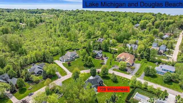 728 Wilderness Ridge Dr, Douglas, MI 49406 - aerial view of residential area with a forest