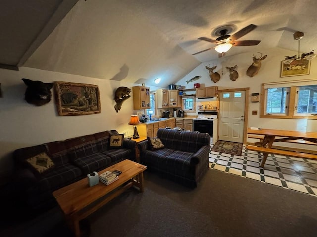 VL Menzies Road, Lake City, MI 49651