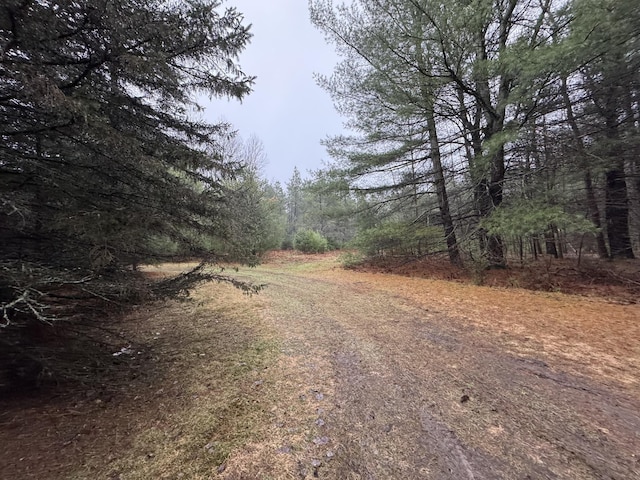 VL Menzies Road, Lake City, MI 49651