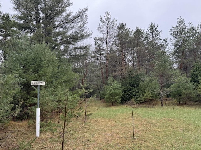 VL Menzies Road, Lake City, MI 49651