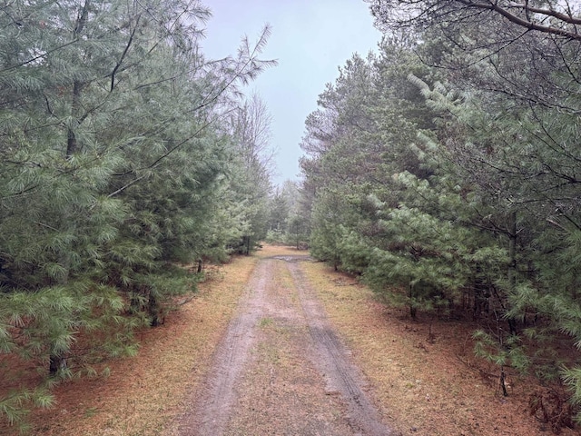 VL Menzies Road, Lake City, MI 49651