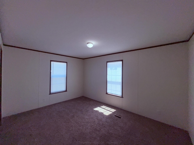 carpeted empty room featuring ornamental molding