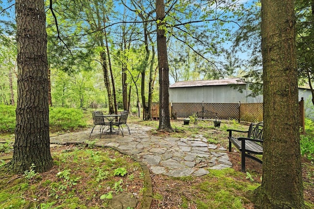 view of yard featuring a patio