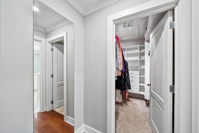 spacious closet featuring wood finished floors