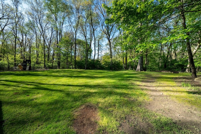 view of grassy yard