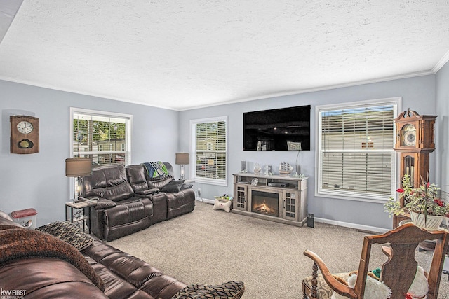 39500 Warren Rd, Canton, MI 48187 - carpeted living area with crown molding, a textured ceiling, healthy amount of natural light, and a lit fireplace