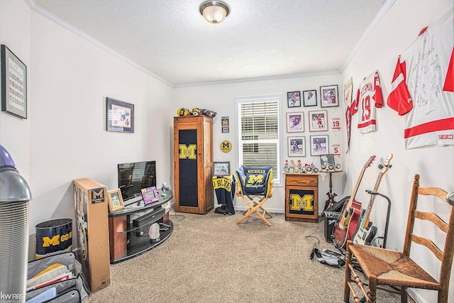 39500 Warren Rd, Canton, MI 48187 - rec room with ornamental molding, carpet flooring, and a textured ceiling