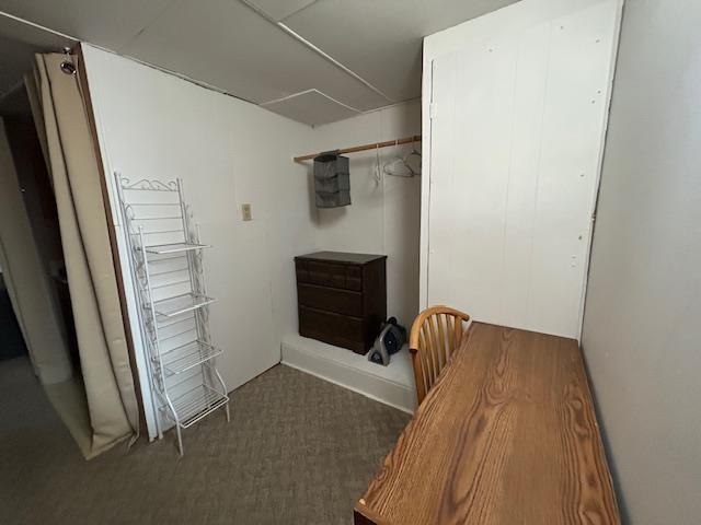 spacious closet with carpet