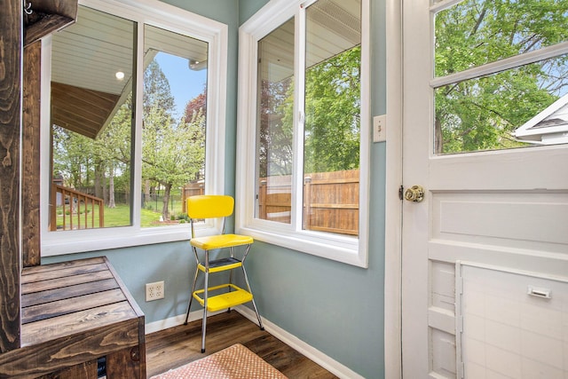 entryway featuring baseboards, wood finished floors, and plenty of natural light