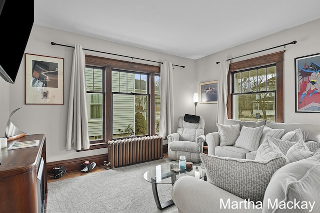625 Leonard St NE, Grand Rapids, MI 49503 - living room featuring radiator and plenty of natural light