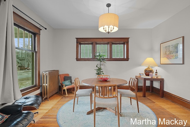 625 Leonard St NE, Grand Rapids, MI 49503 - dining room with radiator heating unit, light wood-style flooring, and baseboards
