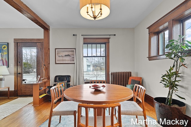 625 Leonard St NE, Grand Rapids, MI 49503 - dining room with radiator heating unit, plenty of natural light, and light wood-style flooring
