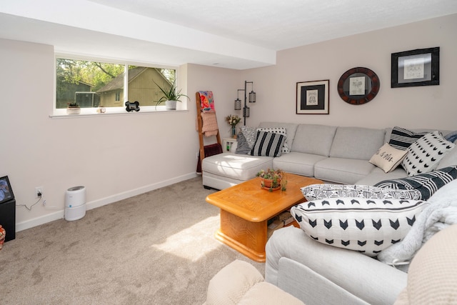 carpeted living area featuring baseboards