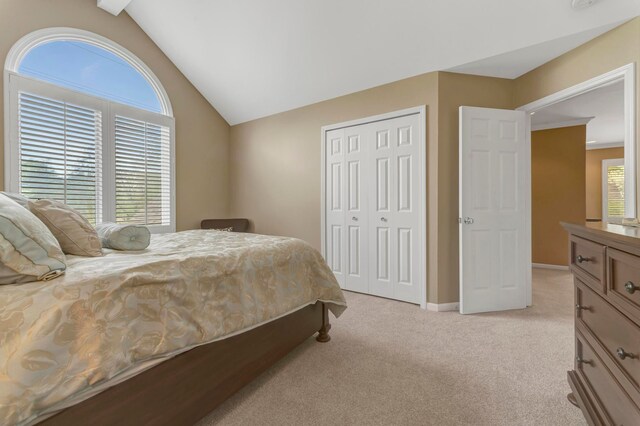 28022 Ashland Ave, Harrison Township, MI 48045 - bedroom with light carpet, lofted ceiling, a closet, and baseboards