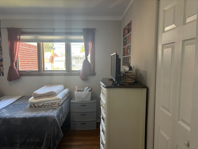 bedroom with multiple windows, dark wood-style flooring, and crown molding